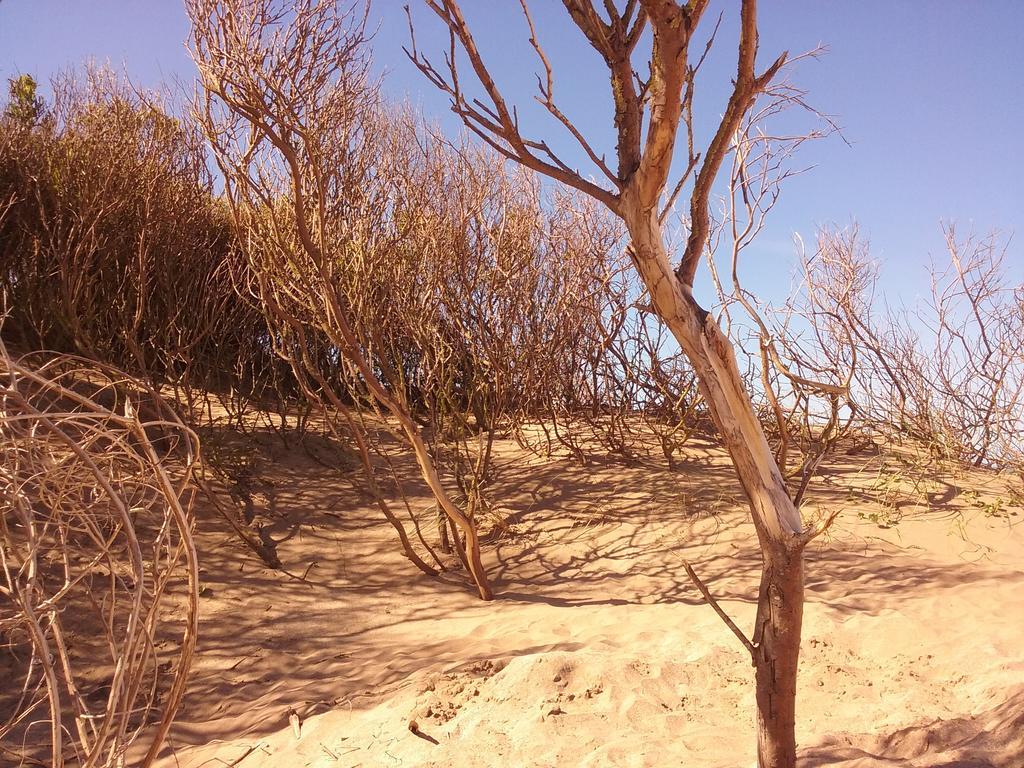 Cabanas Hurra Pampa Mar de Las Pampas Kültér fotó